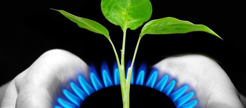 Ahorrar gas en casa: pasos a seguir